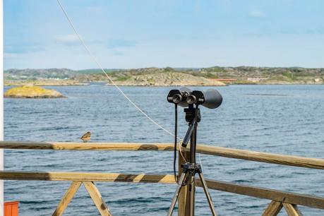 vacaciones nordicas decoración interiores decoración exteriores costumbres nórdicas casitas de verano suecas casitas de madera casas de vacaciones nórdicas blog decoración nórdica 