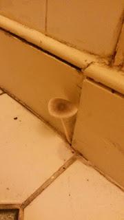 Ventajas y desventajas de vivir en Londres