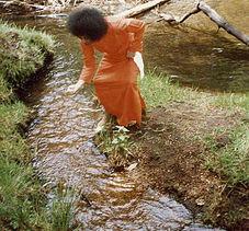 FUNDACION DIVINA VOLUNTAD