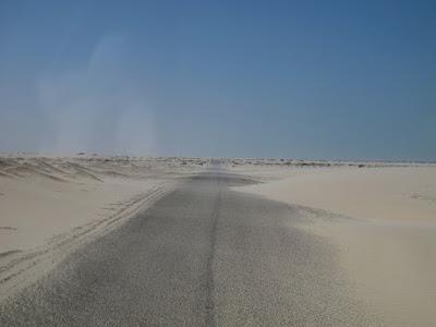 Mauritania, birdwatching entre dunas