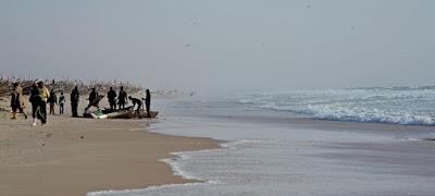 Mauritania, birdwatching entre dunas