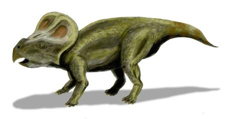 ¿Por qué probablemente el Protoceratops no sea el origen de la leyenda del grifo?