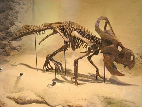 ¿Por qué probablemente el Protoceratops no sea el origen de la leyenda del grifo?