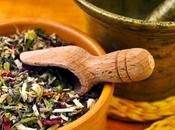 dong quai para aumentar fertilidad