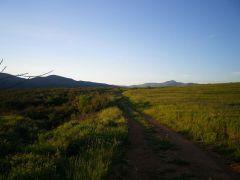 160708 fresco dehesa 4