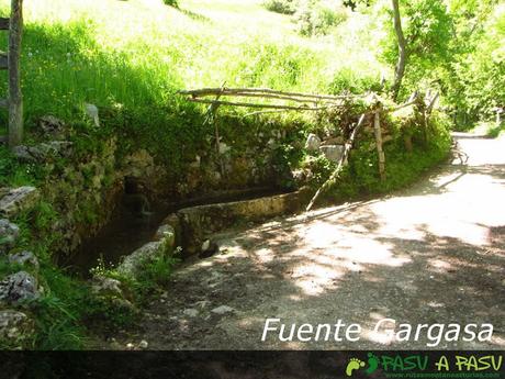 Fuente Gargasa, Pendones, Caso