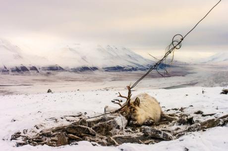 David Wrangborg De Troms Norge
