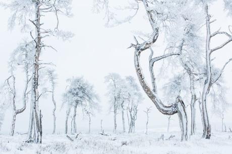 Edwig Vanhassel De Pepingen