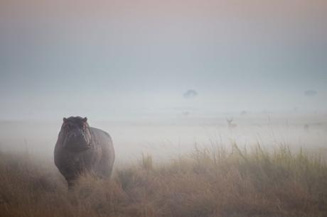 Morgan Trimble De Cape Town