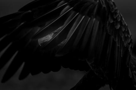 Mohammad Murad De Hateen