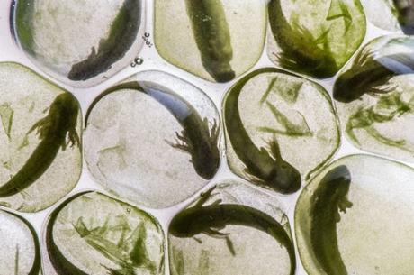 Nick Hawkins De Upper Kingsclear New Brunswick