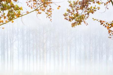 Borja Bouza Badenes De Barcelona Barcelona