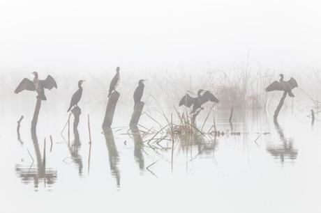 Manuel Enrique Gonzalez Carmona De Camas Sevilla