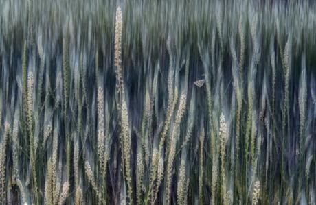 Pedro Javier Pascual Hernandez De Teruel Terol