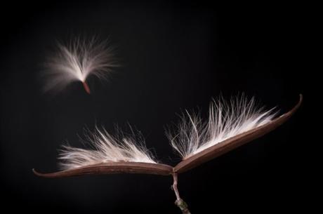 Jose Antonio Hernandez Cabello De La Laguna Tenerife