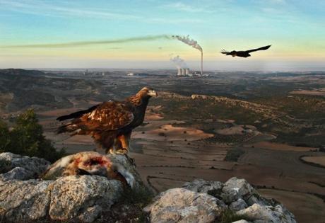 Jonathan Diaz Marba De Zaragoza Zaragoza