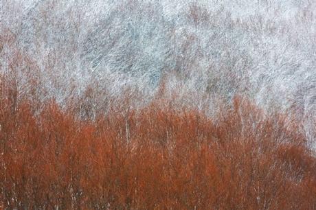 Mauro Tronto De Ancona Italy