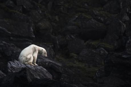 Marco Gaiotti De Genova Ge