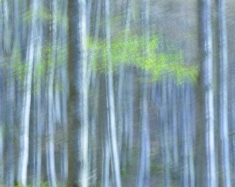 Iosu Garai Ibabe De Legazpi Gipuzkoa