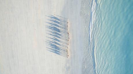 Cable Beach By Todd Kennedy