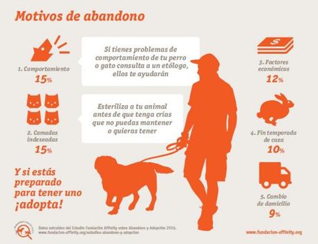Motivos de abandono animal (España)