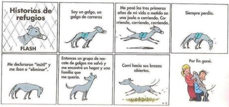 Una historia de galgos