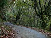 Sendero lujo