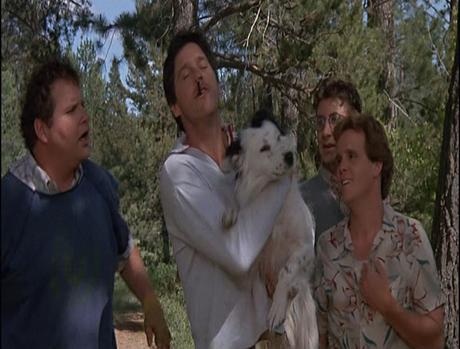 Los Albóndigas en Remojo: ¿Quién dice que un montón de tetas no pueden ganar una carrera?