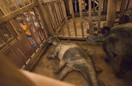 Abre sus puertas en EE.UU. un polémico modelo del Arca de Noé