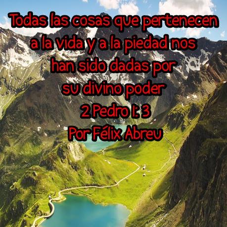 Todo lo que necesitamos y más