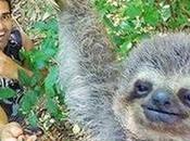 Selfie guía turístico perezoso vuelve viral pocas horas