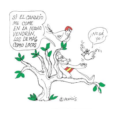 Cae la cúpula del PP de Palma de Mallorca y cosas que cobran vida.