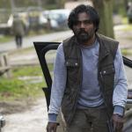 Todo saldrá bien, el pueblo no es para mi Dheepan, la otra cara de Francia