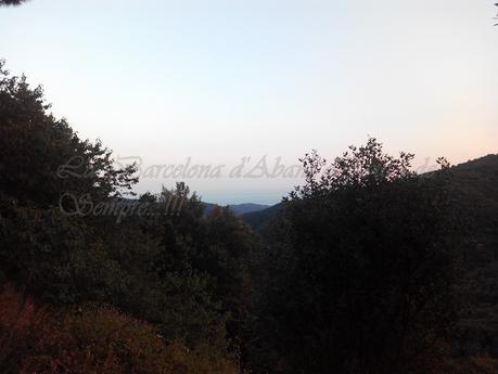 PLANTADA DE TELESCOPIS , EN HORTSAVINYÀ, A LA BARCELONA D' ABANS, D' AVUI I DE SEMPRE...10-07-2016...!!!