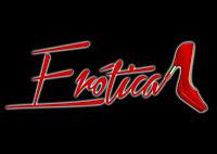 Erótica y The provisional reference en Café la Palma