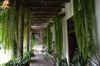 Qué ver en Lima en 1 día y medio