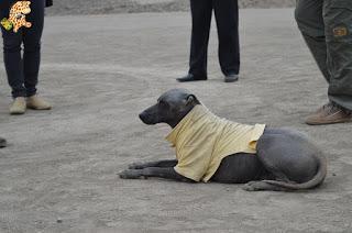 Qué ver en Lima en 1 día y medio Qué ver en Lima en 1 día y medio