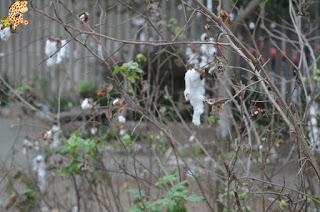 Qué ver en Lima en 1 día y medio Qué ver en Lima en 1 día y medio