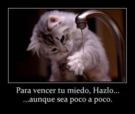¿Por qué el miedo se interpone entre tú y tus objetivos?