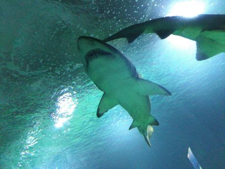 RECUERDOS DE VACACIONES. UN RECORRIDO POR TERUEL, VALENCIA Y ALICANTE