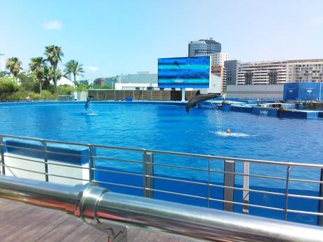 RECUERDOS DE VACACIONES. UN RECORRIDO POR TERUEL, VALENCIA Y ALICANTE