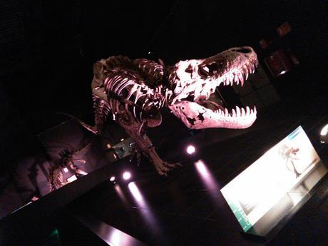 RECUERDOS DE VACACIONES. UN RECORRIDO POR TERUEL, VALENCIA Y ALICANTE