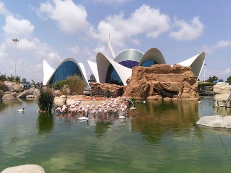 RECUERDOS DE VACACIONES. UN RECORRIDO POR TERUEL, VALENCIA Y ALICANTE