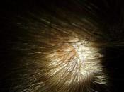 Aceite Coco Para Cabello