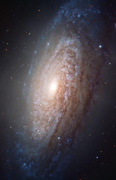 Los suaves brazos de NGC 3521