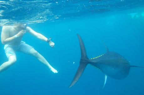 pierre_vacances_costa_dorada_4-1