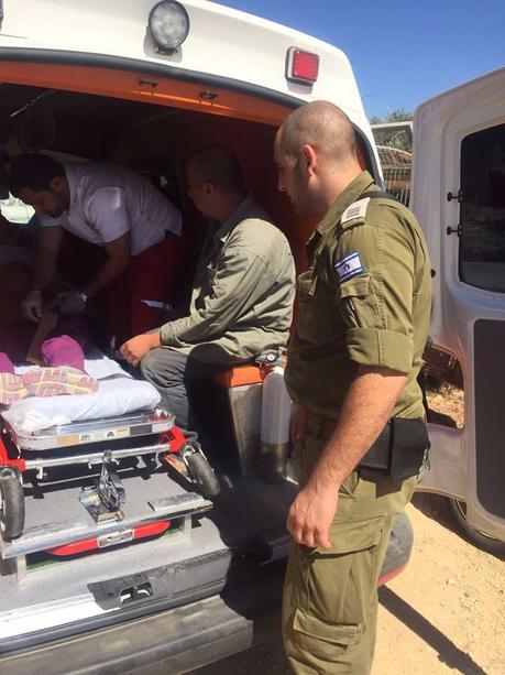 13592393_1040809282681422_363204709342091711_n