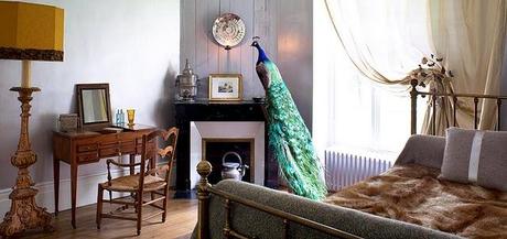 Una casa de huéspedes para despertar la imaginación