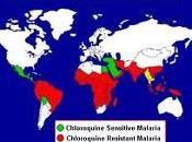 Nueva Vacuna contra Malaria Paludismo