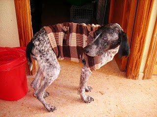 Chiqui (alicante) ... no hace falta palabras